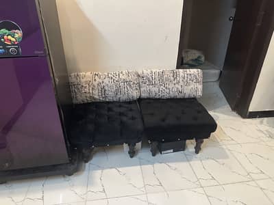 Complete two settees with plant