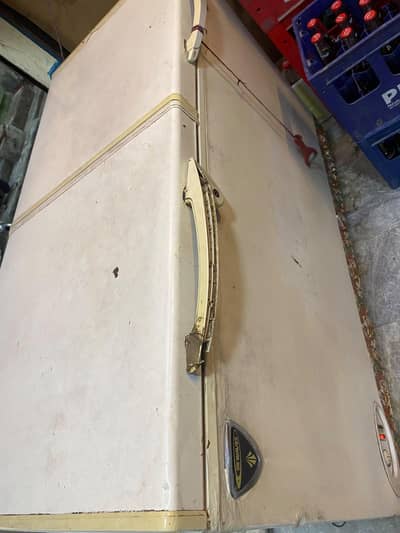 waves deep freezer double door