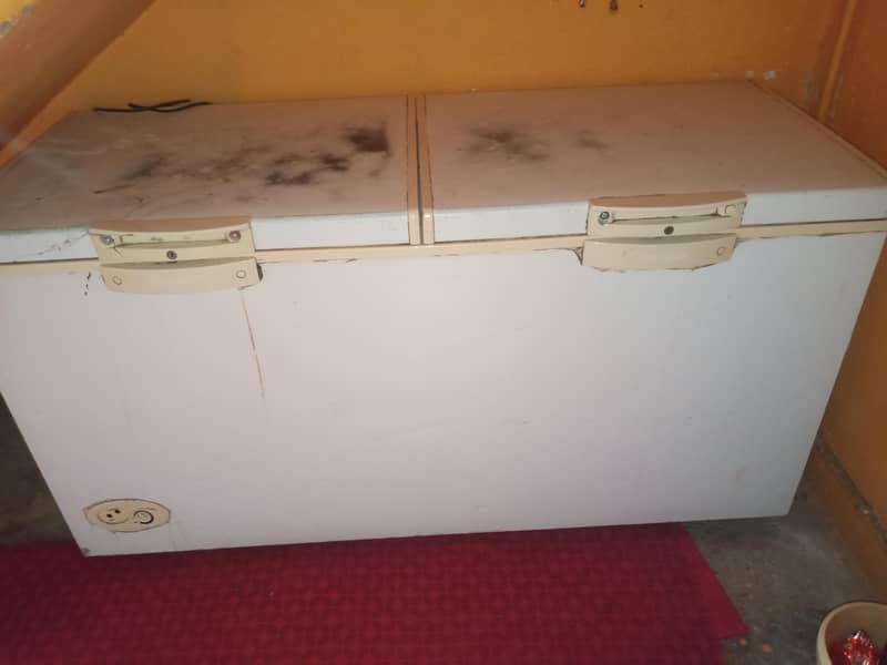 D freezer 1