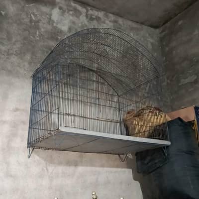 all cage sale