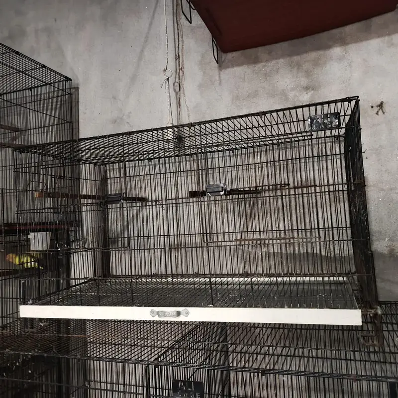 all cage sale — photo 3