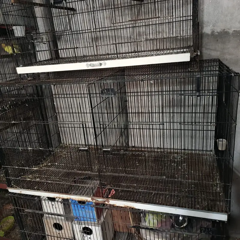 all cage sale — photo 6