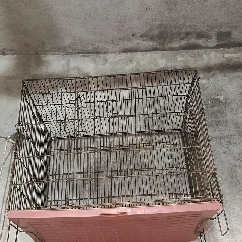 all cage sale — photo 7