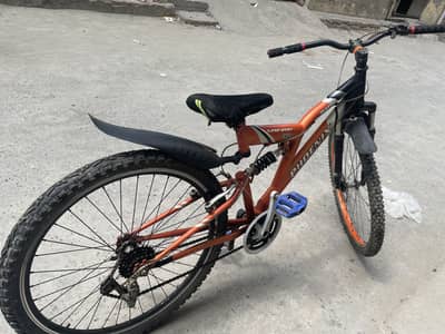 Mountain bicycle for sale