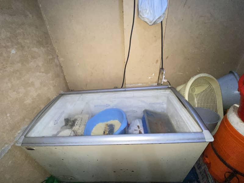 Waves freezer 1