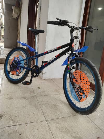 Shimano japanese bicycle size 22 just like a new cycle 03188264599