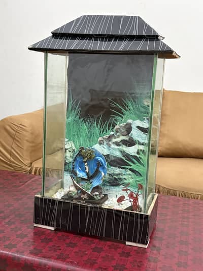Fish Aquarium for sale, watts no #0344.1407625