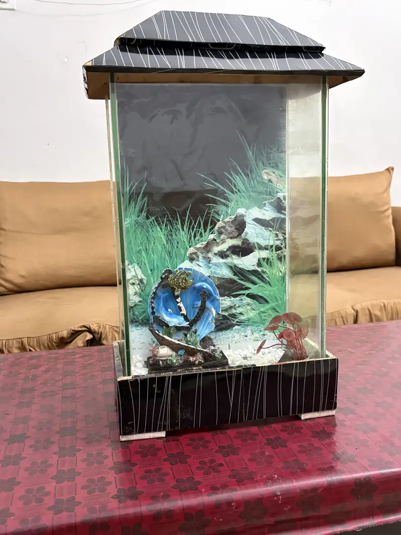 Fish Aquarium for sale, watts no #0344.1407625 — photo 5