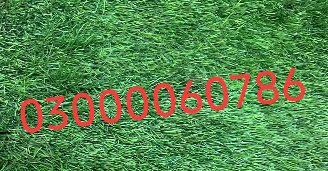 goldan sim 0