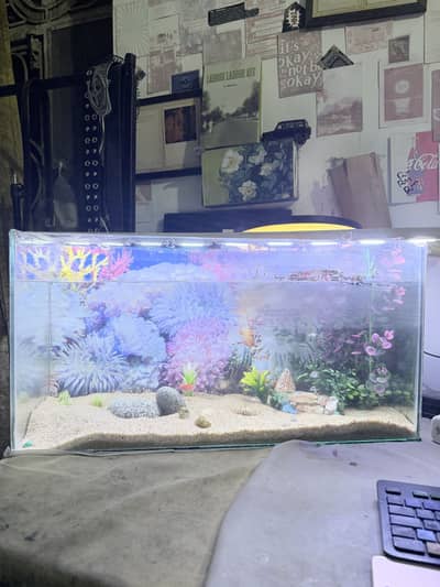 Aquarium