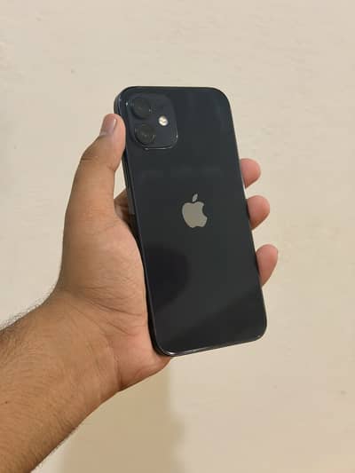 I phone 12