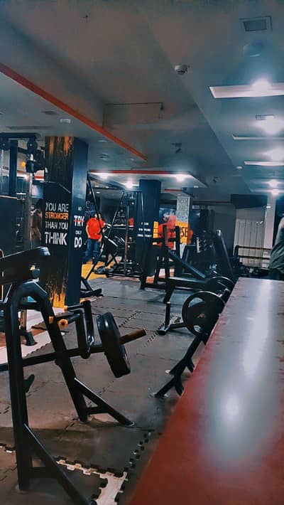 female gym Assistant required