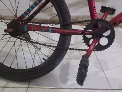 by Cycle