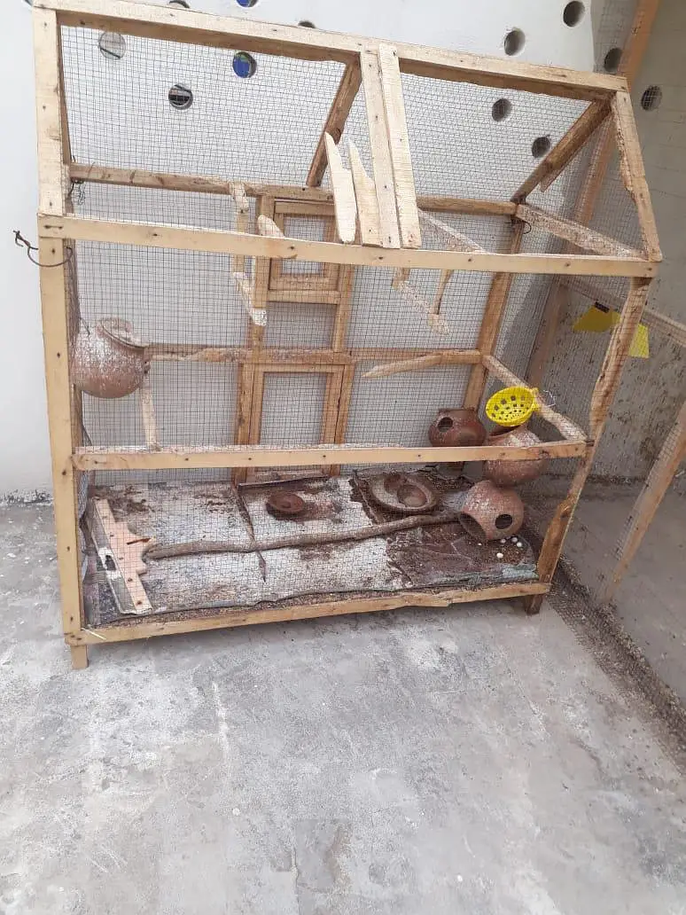2 wooden cage (pinjra) for sell with accessories