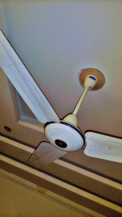 Super Asia Ceiling Fans