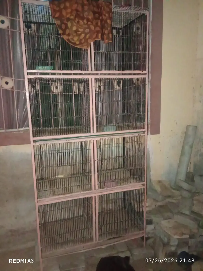 cage for sell