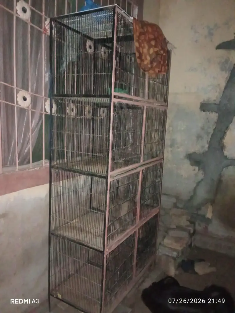 cage for sell — photo 2
