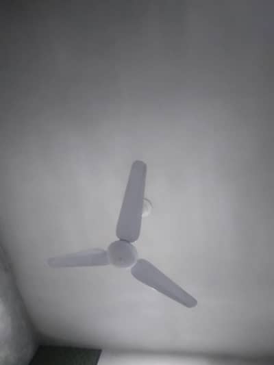 Celing fan 6 month used