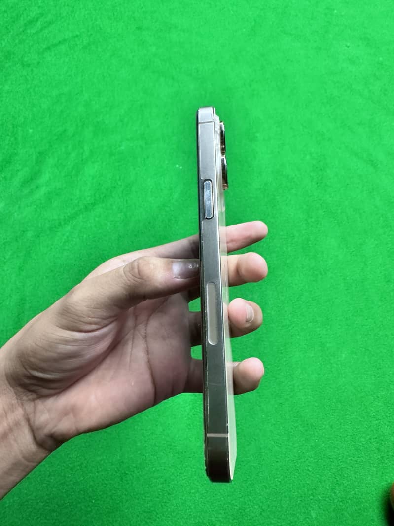 14 Pro Max 2