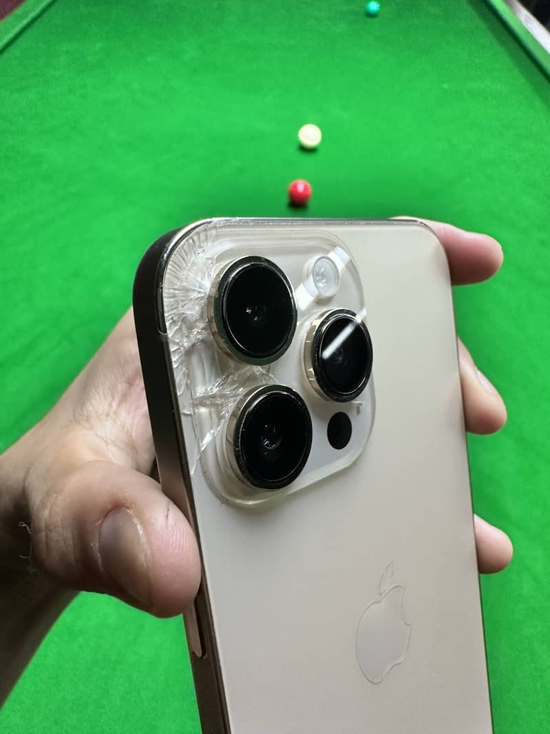 14 Pro Max 4