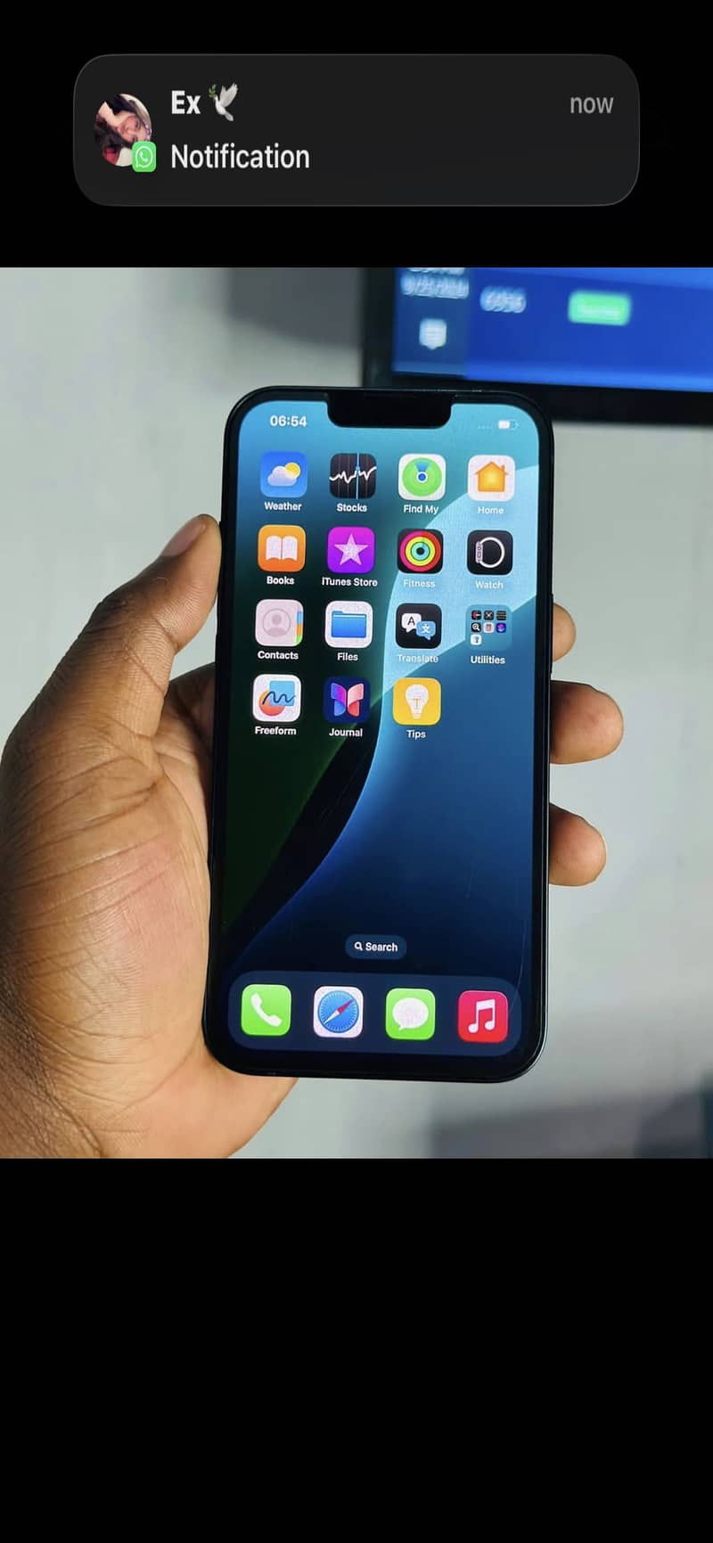 Apple iPhone 13 0