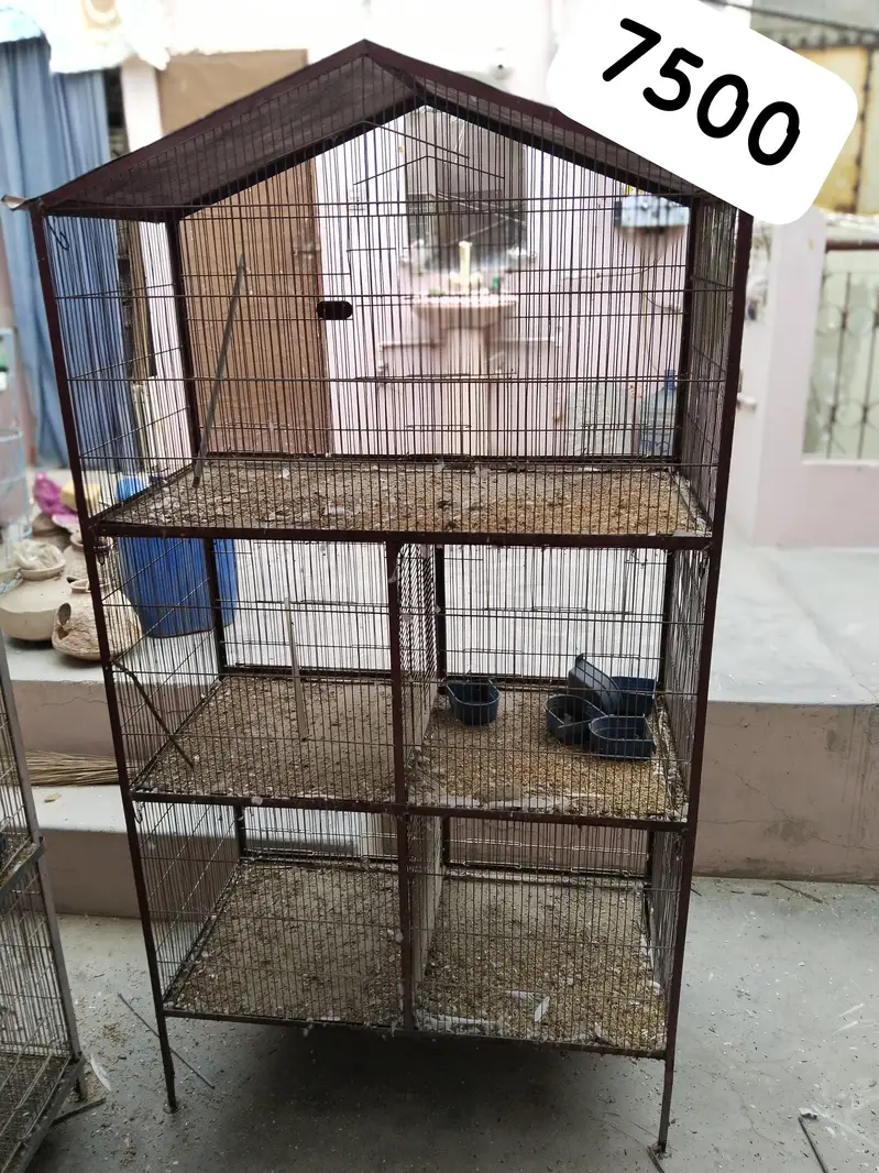 3 cages Hain 4 pair hai albino k ek pair 2000 ka ha urgent sale — photo 2