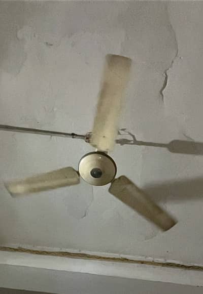 Ceiling fan