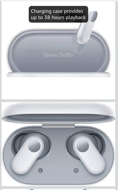 one plus ear bird