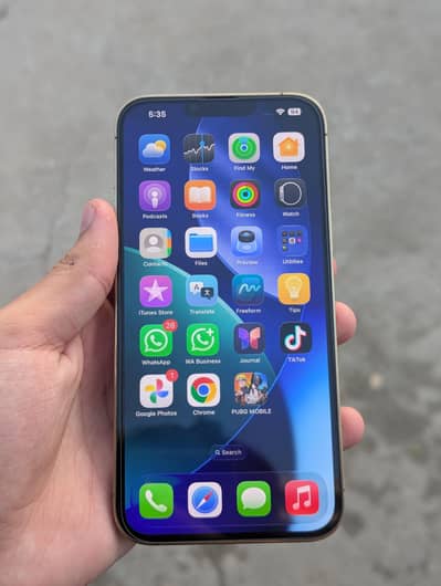 Apple iPhone 13 Pro Max