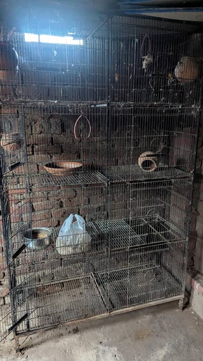 bird cage