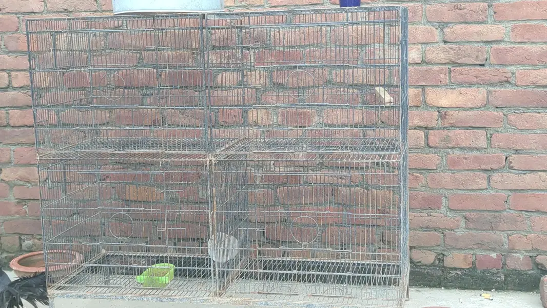 bird cage — photo 2