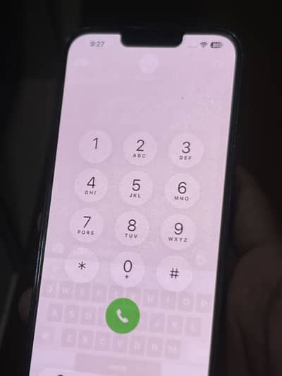 Apple iPhone 13 Pro Max  non pta
