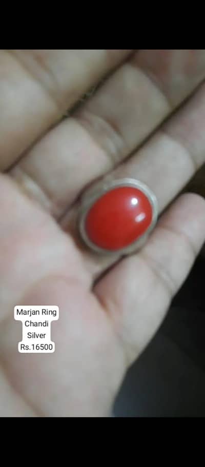 Sale Mela Ask for Price 03213205000