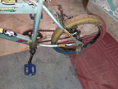Cycle for kids