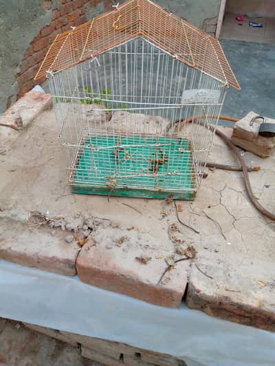 Cage for sale