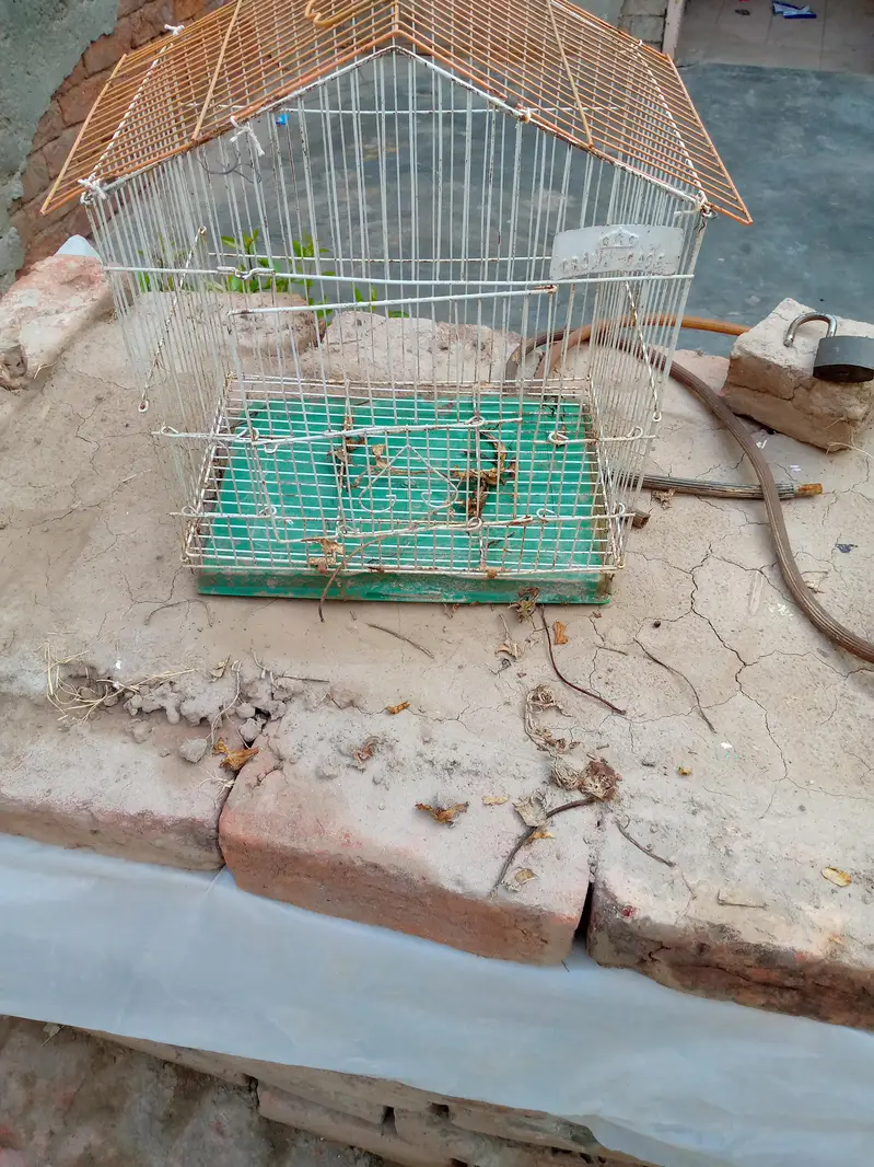 Cage for sale — photo 2