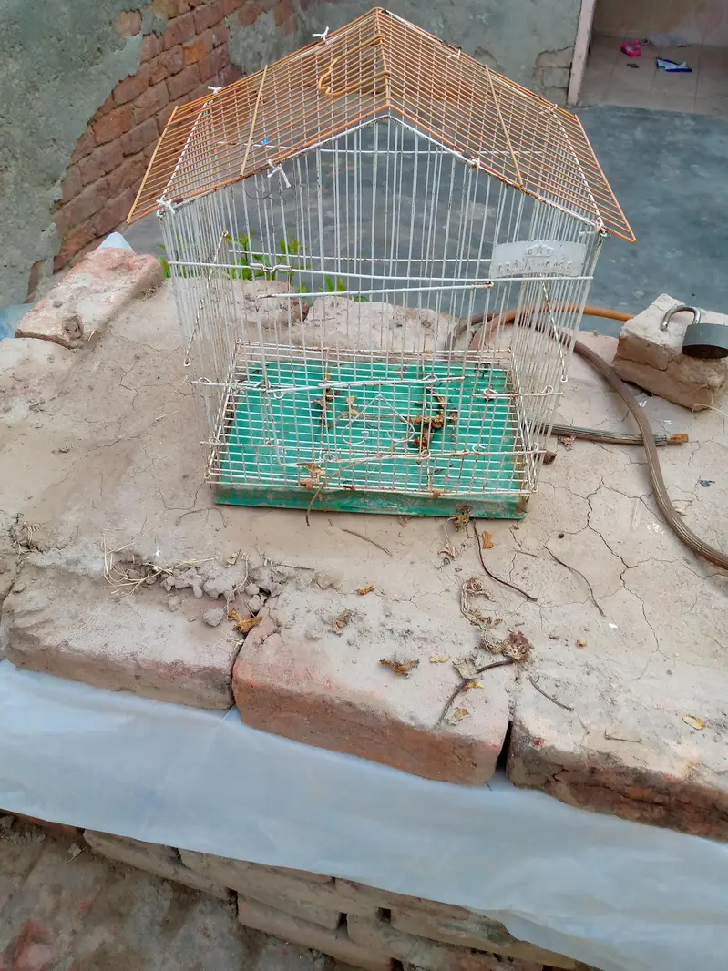 Cage for sale — photo 3