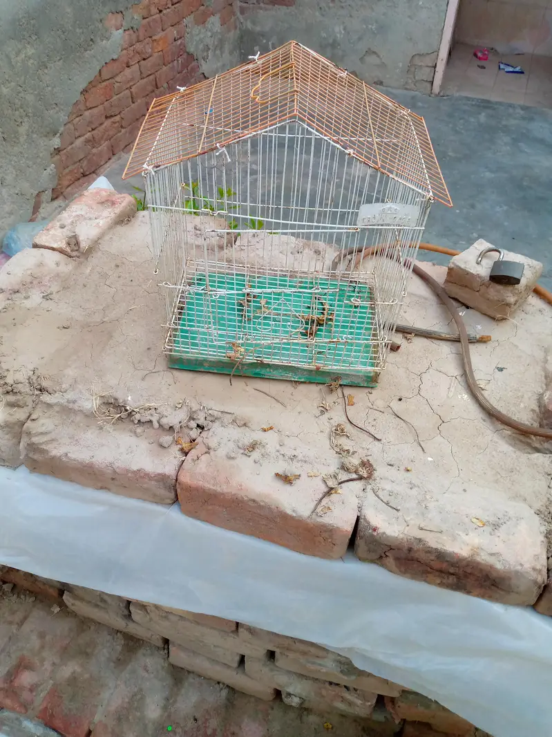 Cage for sale — photo 4