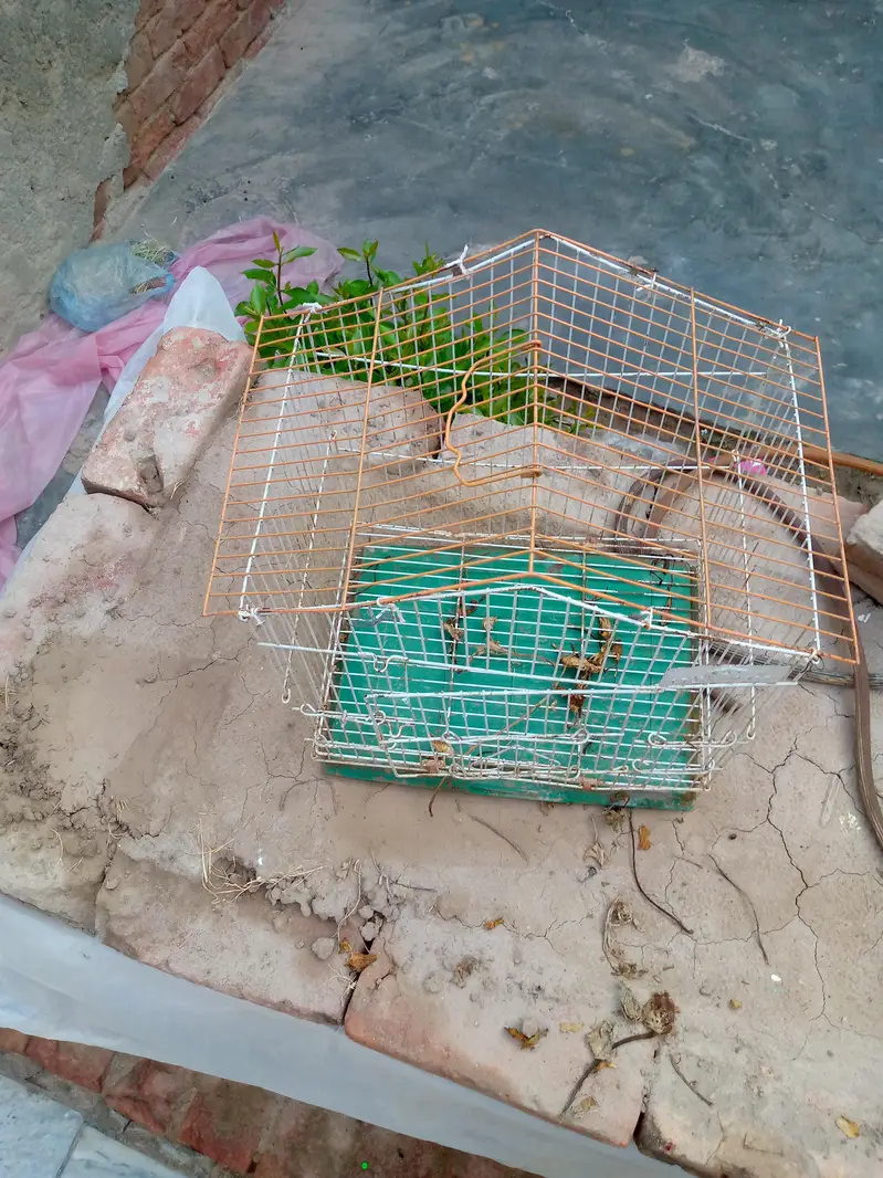 Cage for sale — photo 5