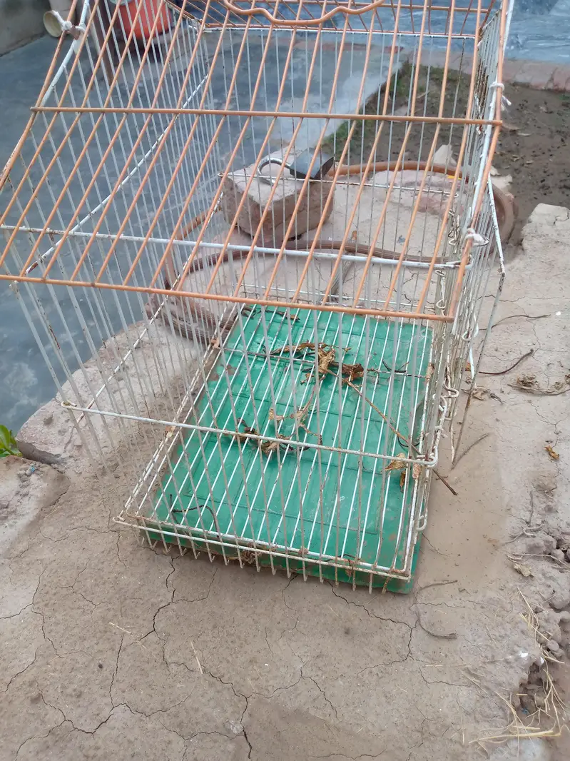 Cage for sale — photo 6