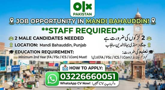 need staff for io