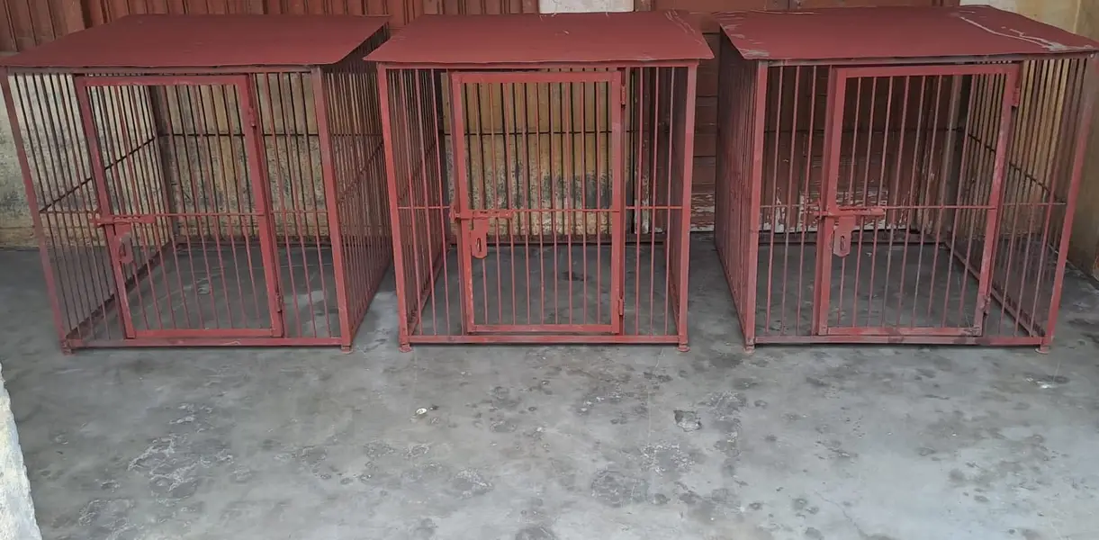 Full heavy iron cage 3x3 — photo 3