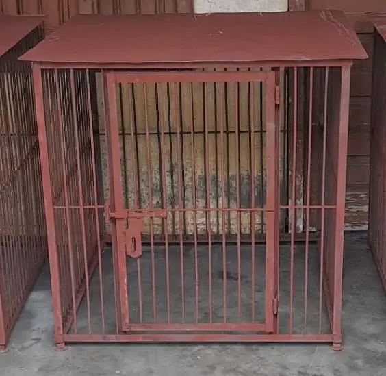 Full heavy iron cage 3x3 — photo 4