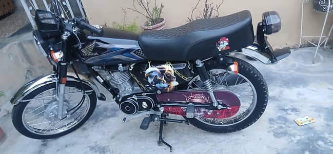 Honda CG 125.2025 Model