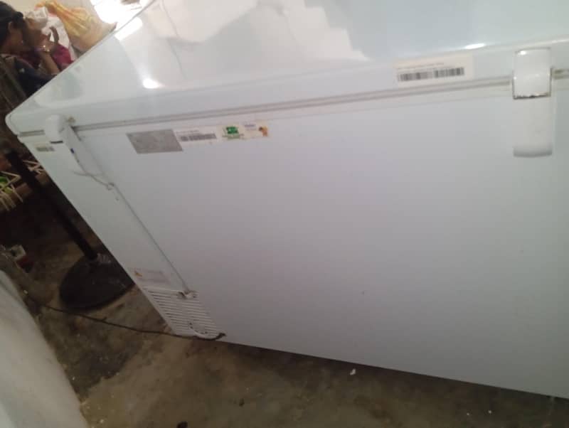 freezer 1