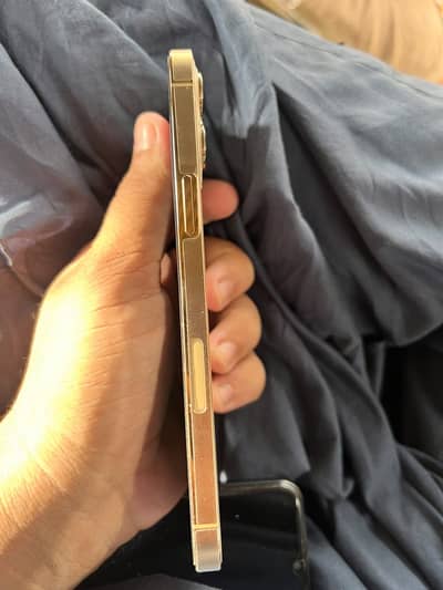 Apple iPhone 12 Pro Max