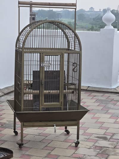 cage iton