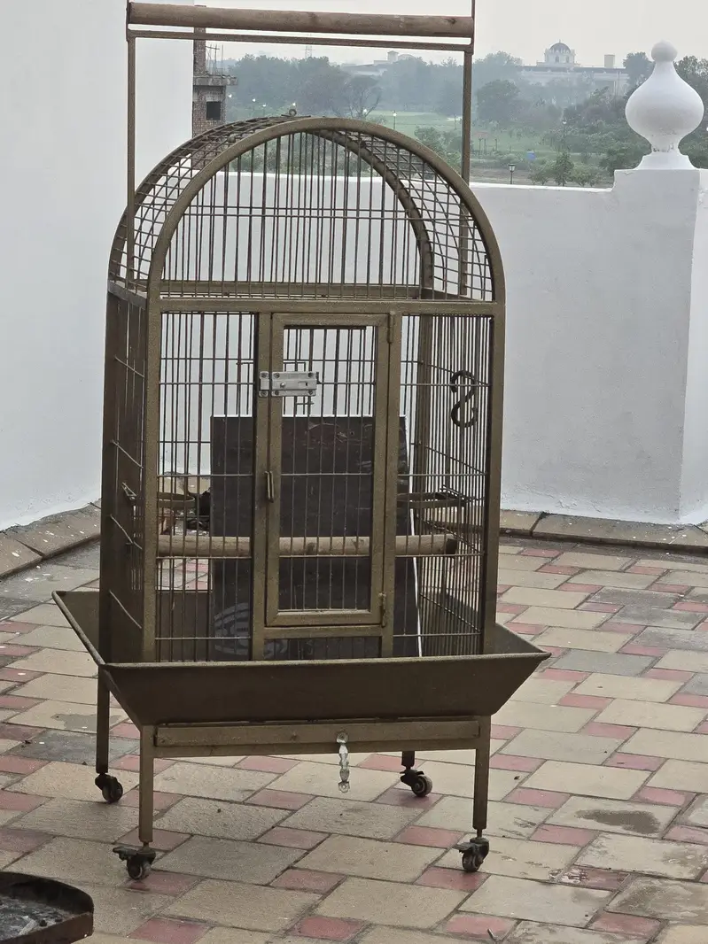 cage iton — photo 2