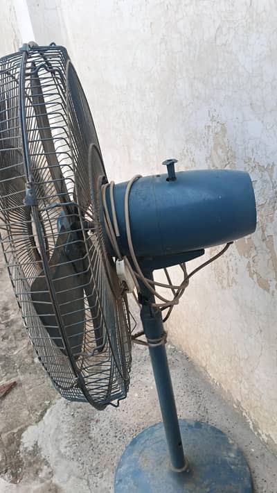 Fan khurshid
