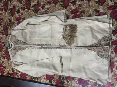 sherwani medium